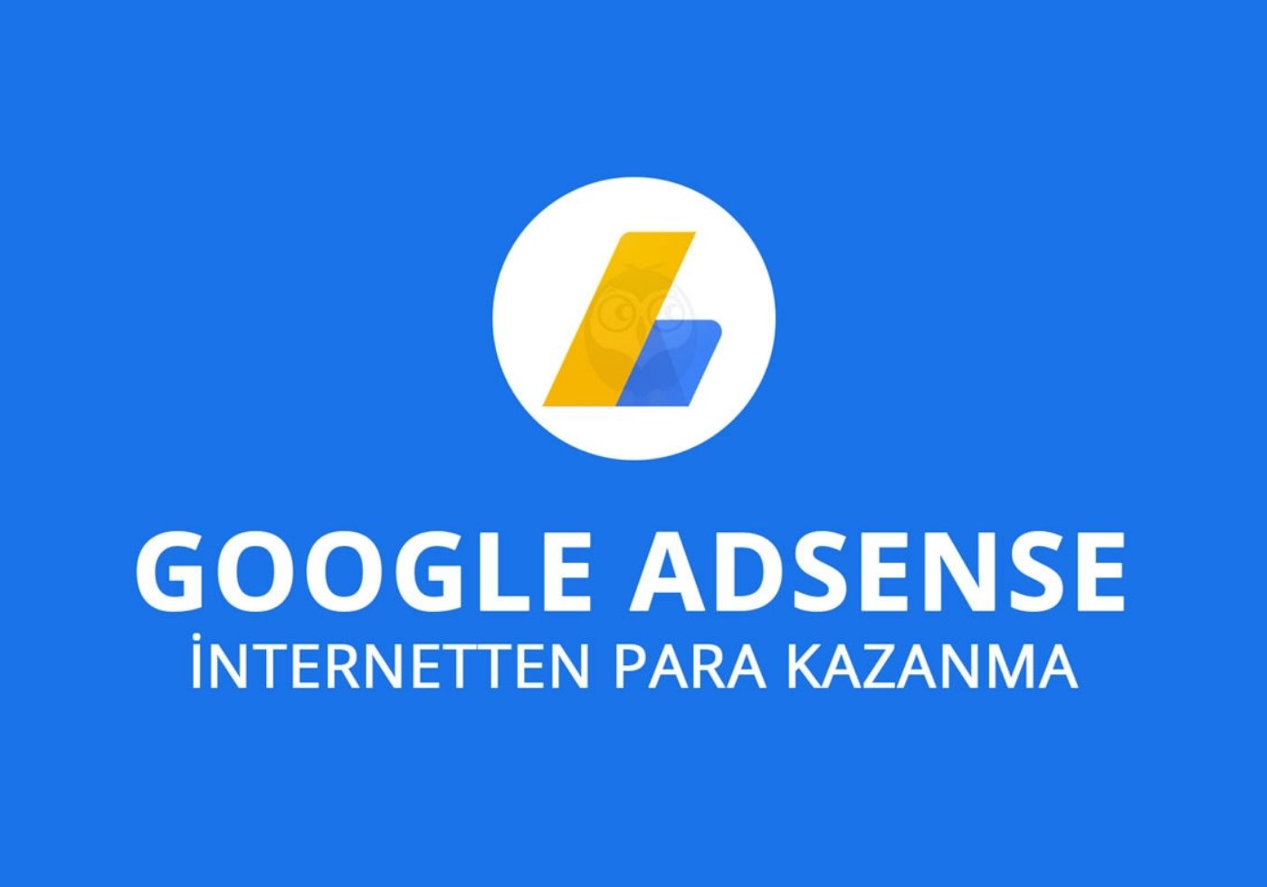 Google Adsense Onay